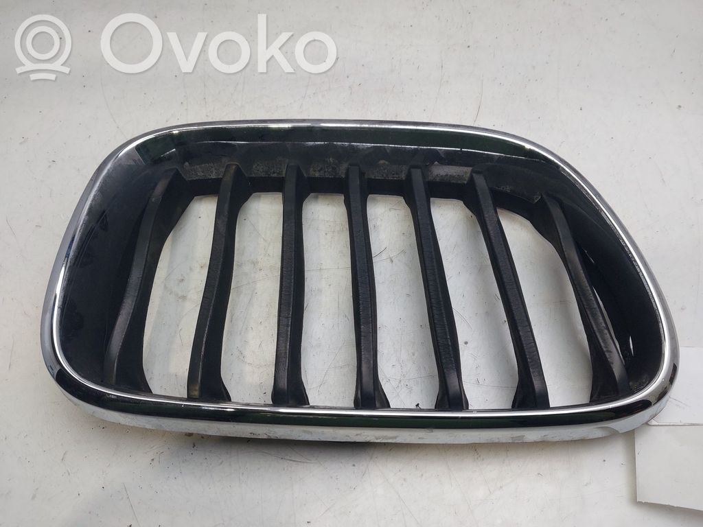 BMW X3 F25 Kühlergrill