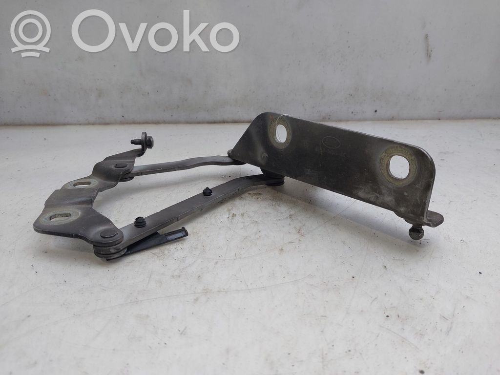 Land Rover Freelander 2 - LR2 Cerniere del vano motore/cofano