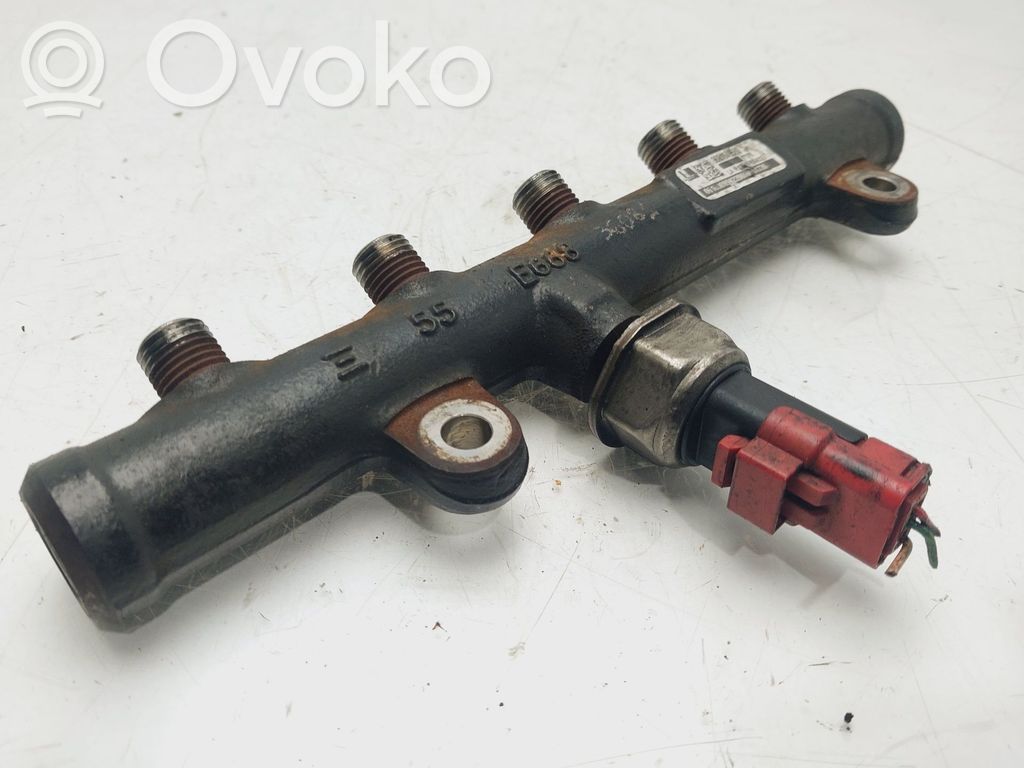 Citroen C5 Rampă alimentare injectoare 