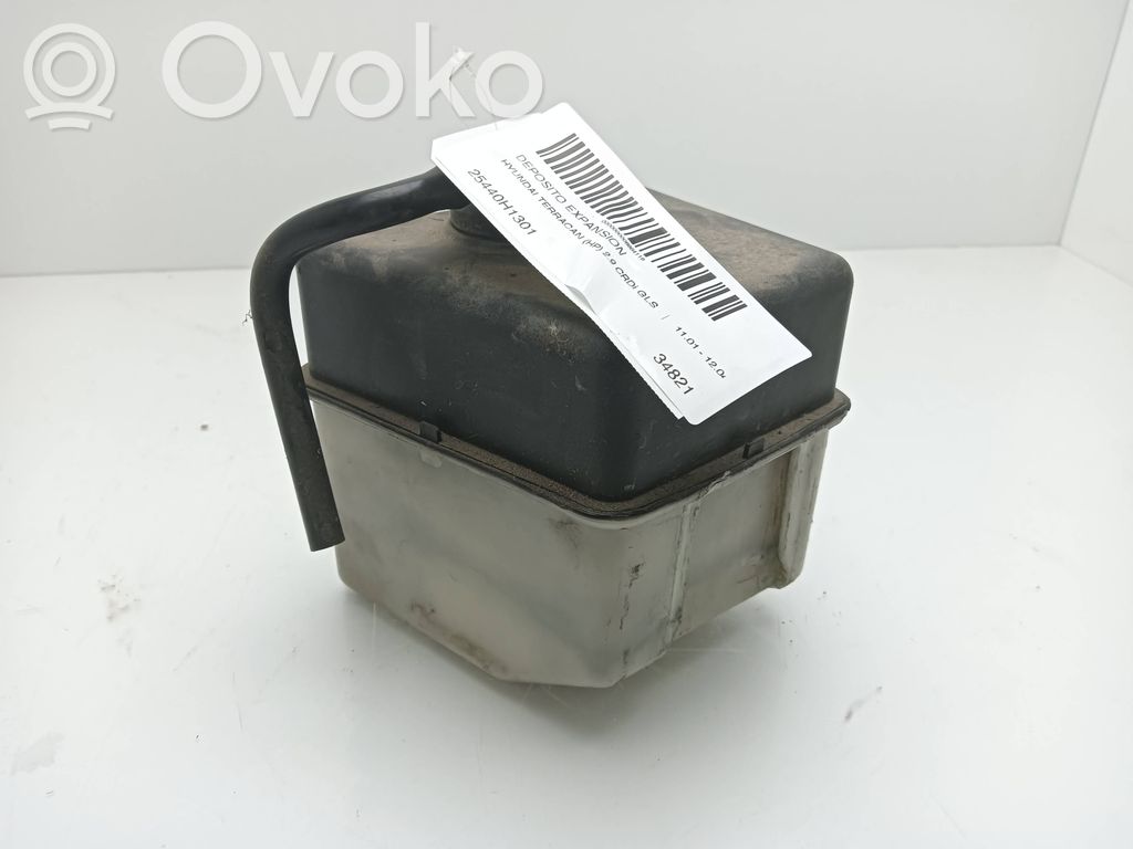 Hyundai Terracan Serbatoio di compensazione del liquido refrigerante/vaschetta