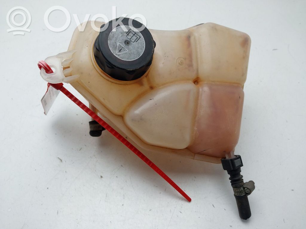 Ford Fiesta Zbiornik wyrównawczy chłodziwa 