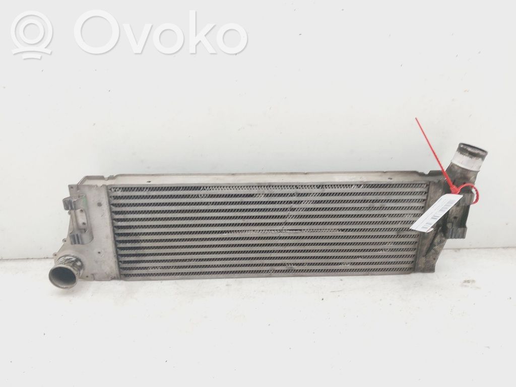 Radiator intercooler   8200115540
