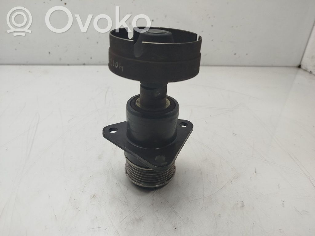 Ford Focus Koło pasowe alternatora 