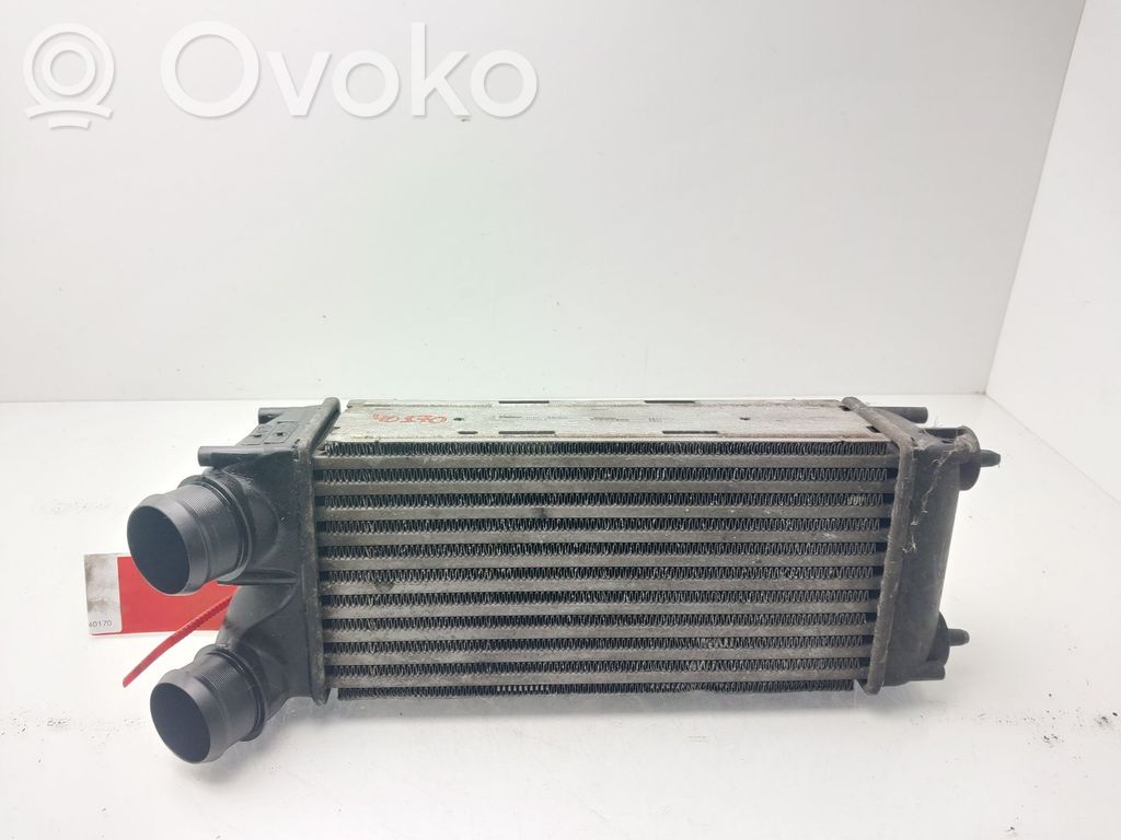 Chłodnica powietrza doładowującego / Intercooler   965653980
