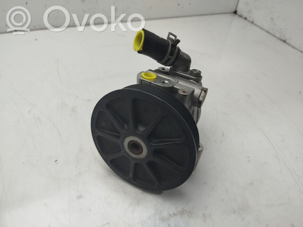 Ford Transit -  Tourneo Connect Power steering pump 