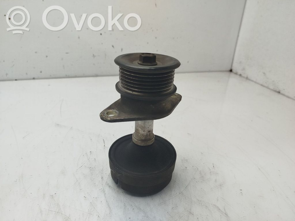 Ford Focus Polea del alternador 