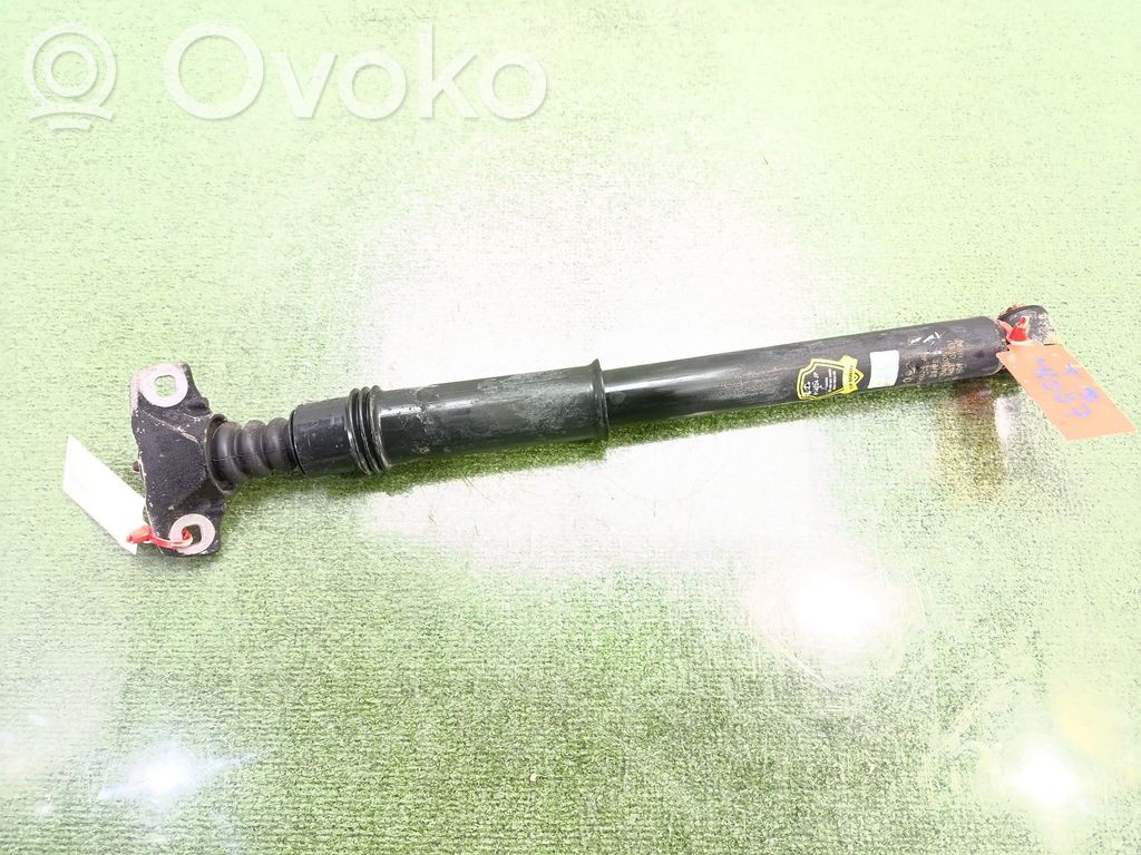 Stoßdämpfer hinten   9811519480