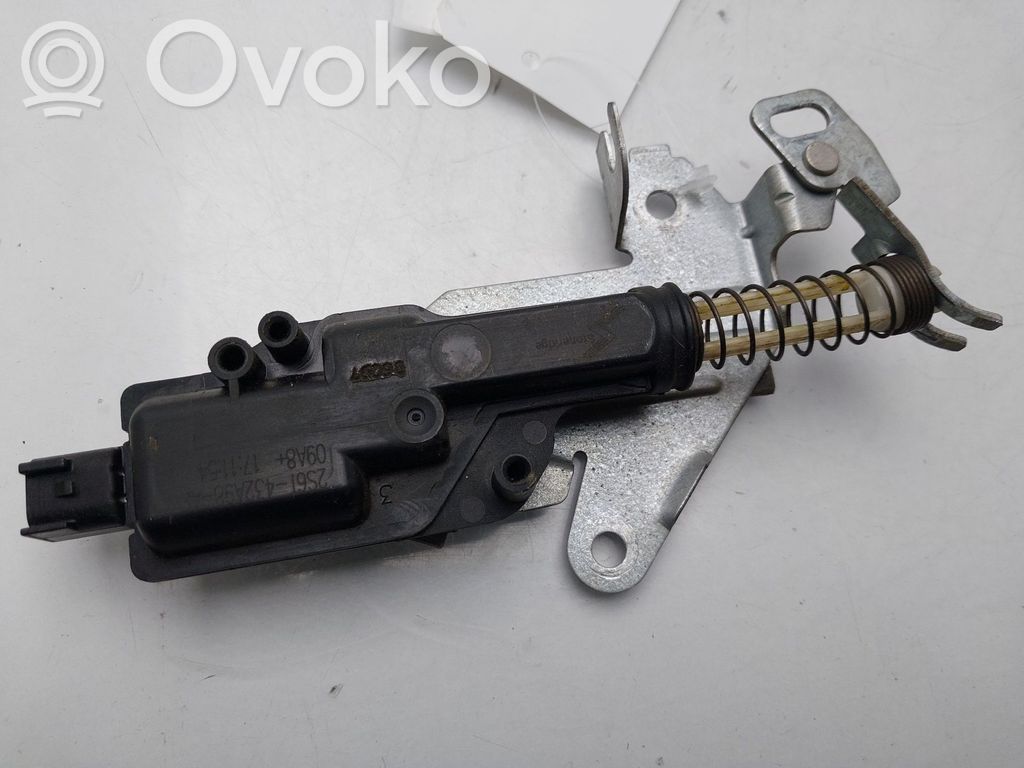 Ford Fiesta Motorino di blocco/chiusura del portellone del bagagliaio 