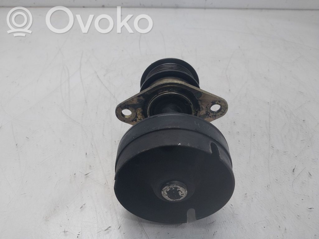 Ford Focus Polea del alternador 
