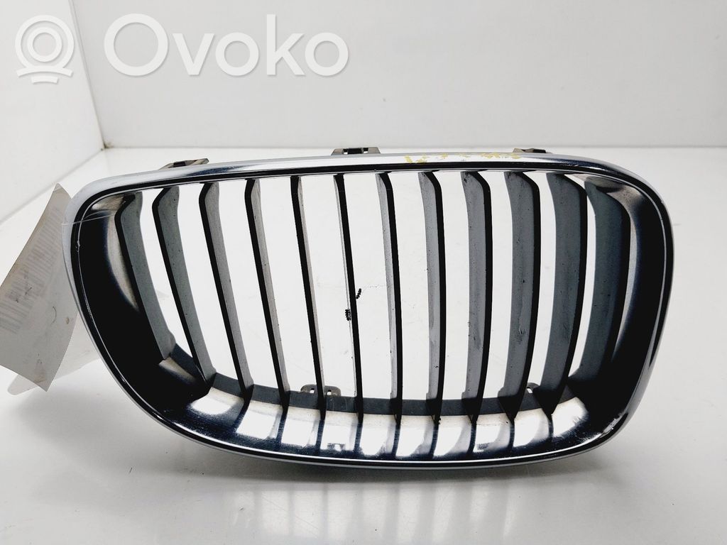Kühlergrill   51137166440