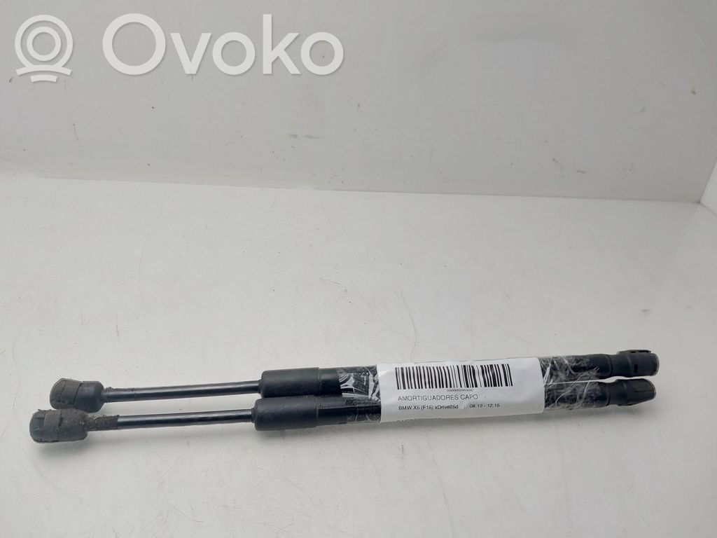 BMW X5 F15 Ammortizzatore portellone anteriore/cofano