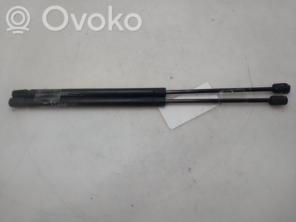 Citroen C5 Amortizor hayon 