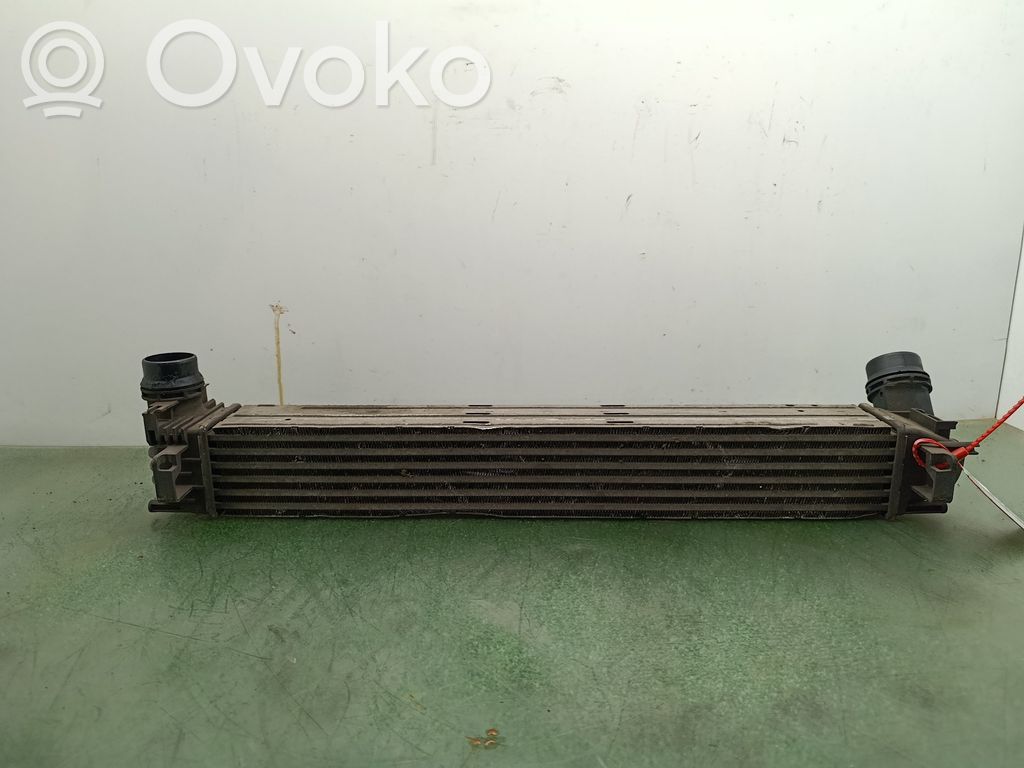 Renault Scenic III -  Grand scenic III Radiador intercooler 