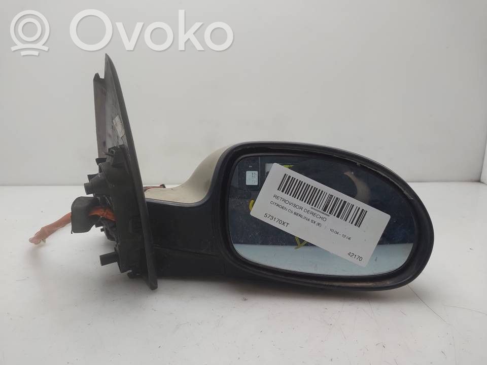 Citroen C5 Elektryczne lusterko boczne drzwi przednich 