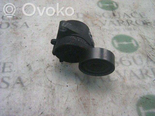 BMW 5 E39 Întinzător curea generator/alternator 