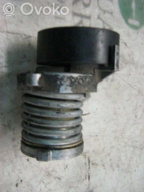 Întinzător curea generator/alternator