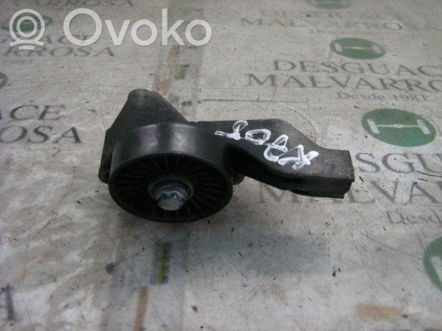 Fiat Punto (188) Tendicinghia generatore/alternatore