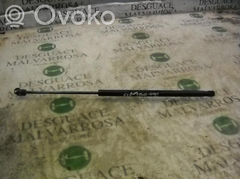 Amortiguador/puntal del maletero/compartimento de carga