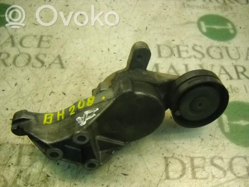 Seat Ibiza II (6k) Tendicinghia generatore/alternatore