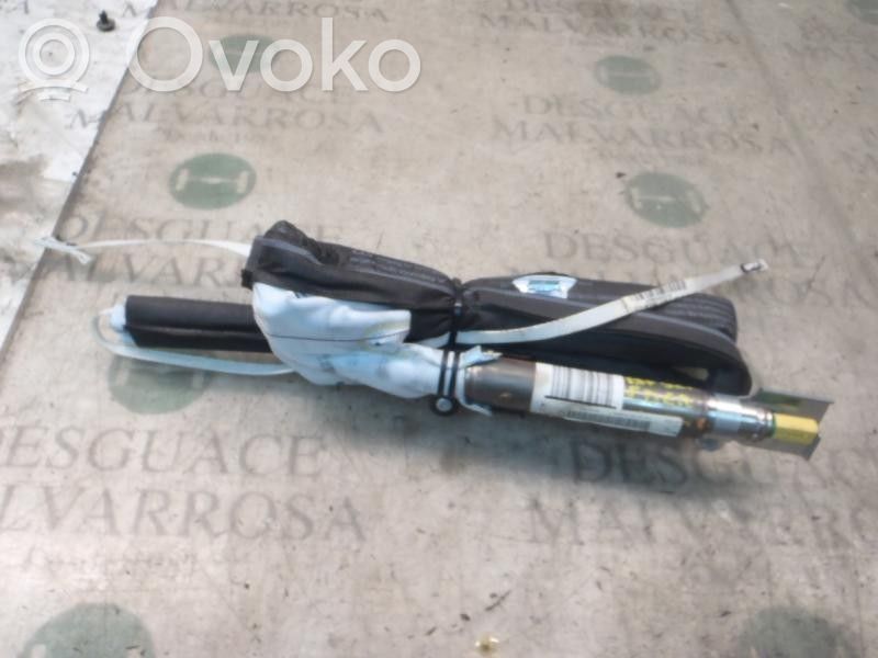 Airbag de la puerta delantera   833134