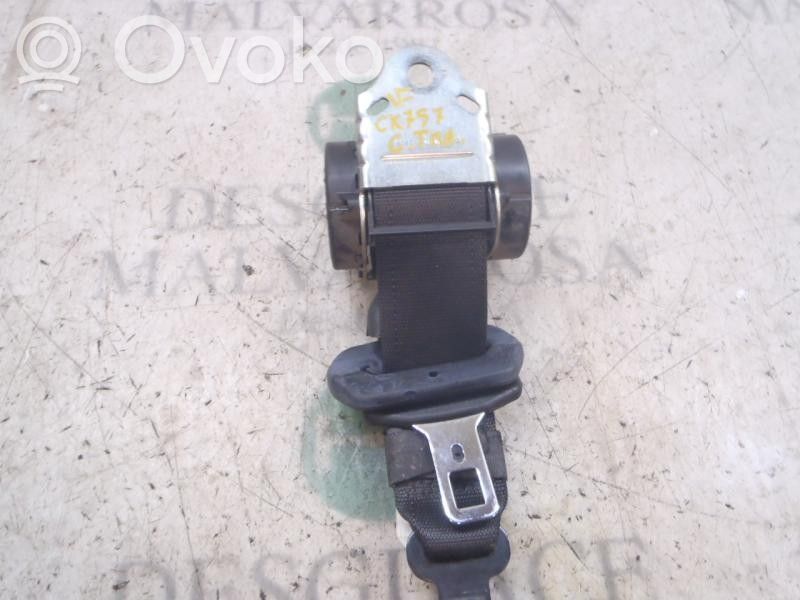 Cinturón trasero
