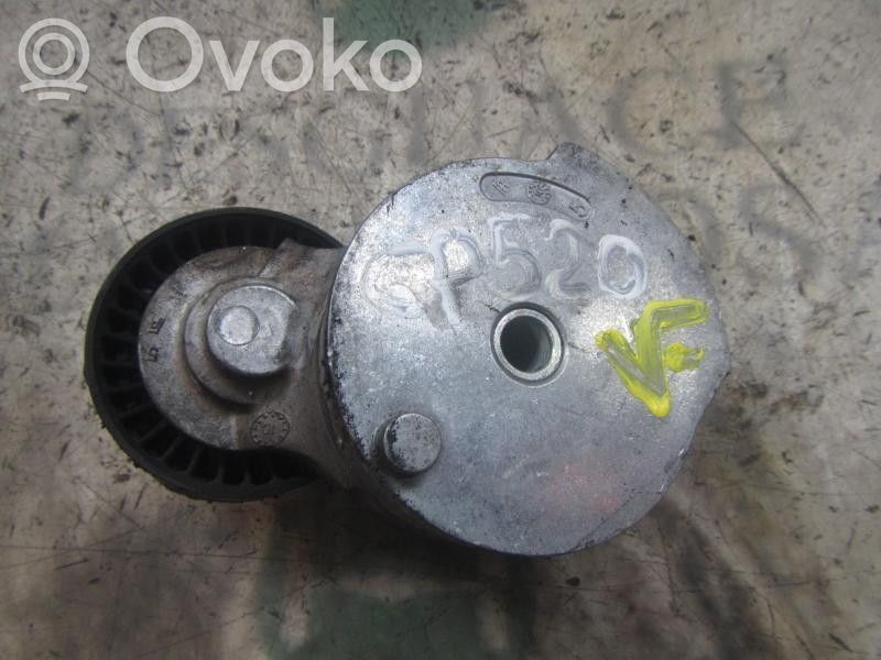 Ford Focus Diržo įtempėjas 