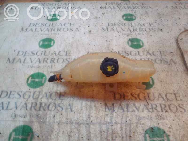 Renault Clio III Vas expansiune combustibil 