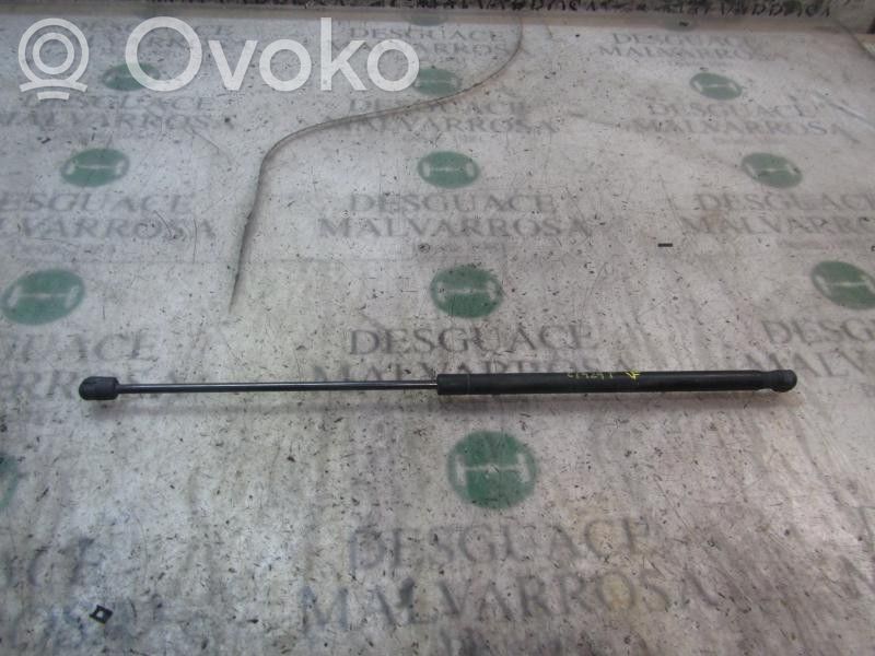 Tailgate/trunk strut/damper   1349309