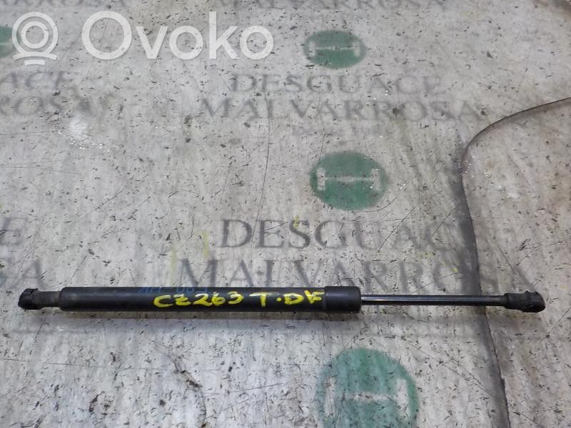 Vérin de capot arrière   51247250308