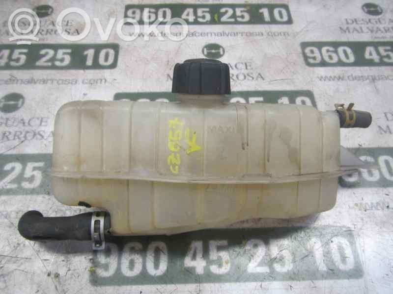 Renault Modus Vaso di espansione carburante