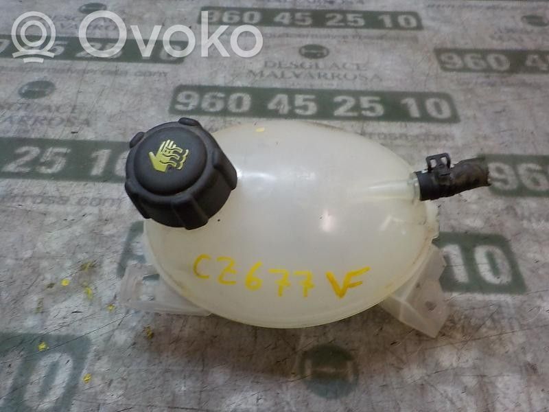 Dacia Sandero II Vaso di espansione carburante