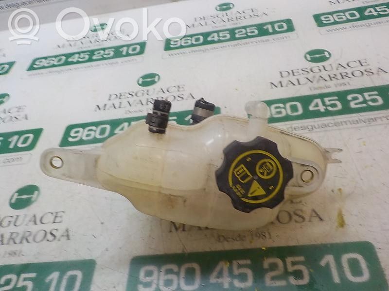 Depósito de expansión de combustible   13424539