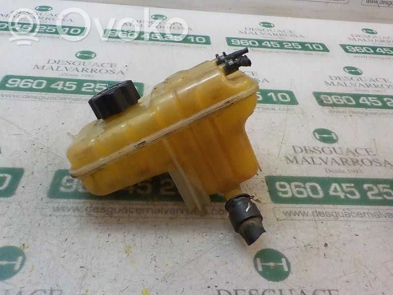 Peugeot 407 Vas expansiune combustibil 