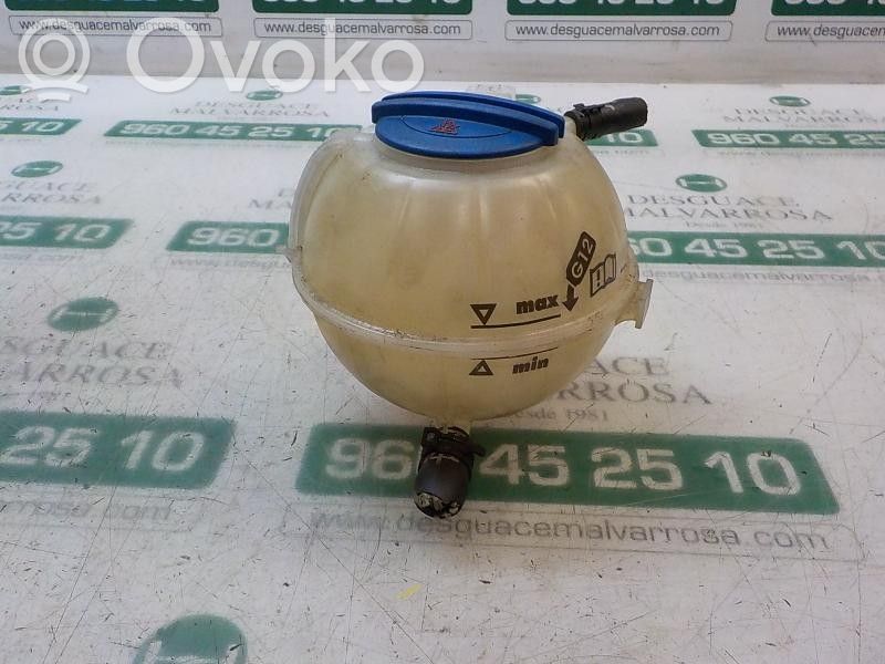Seat Ibiza IV (6J,6P) Vaso di espansione carburante