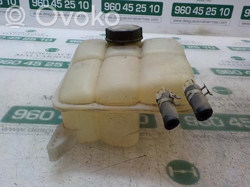 Ford Focus Vaso di espansione carburante