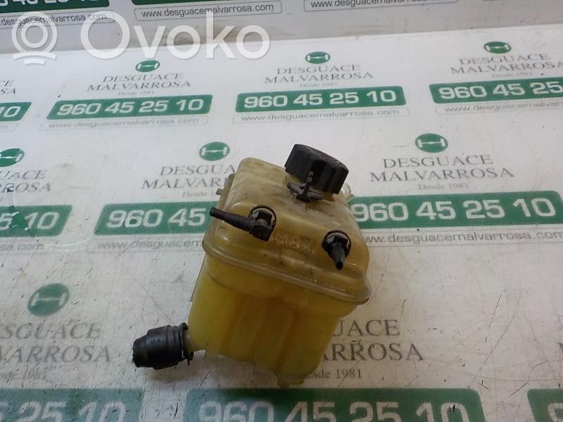 Peugeot 407 Vas expansiune combustibil 