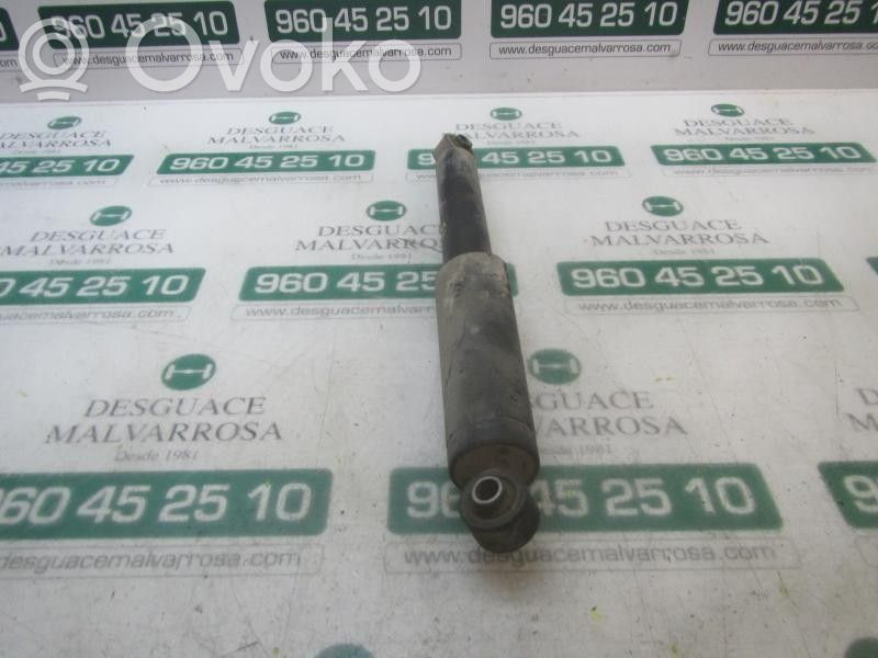 Stoßdämpfer hinten   553003E021