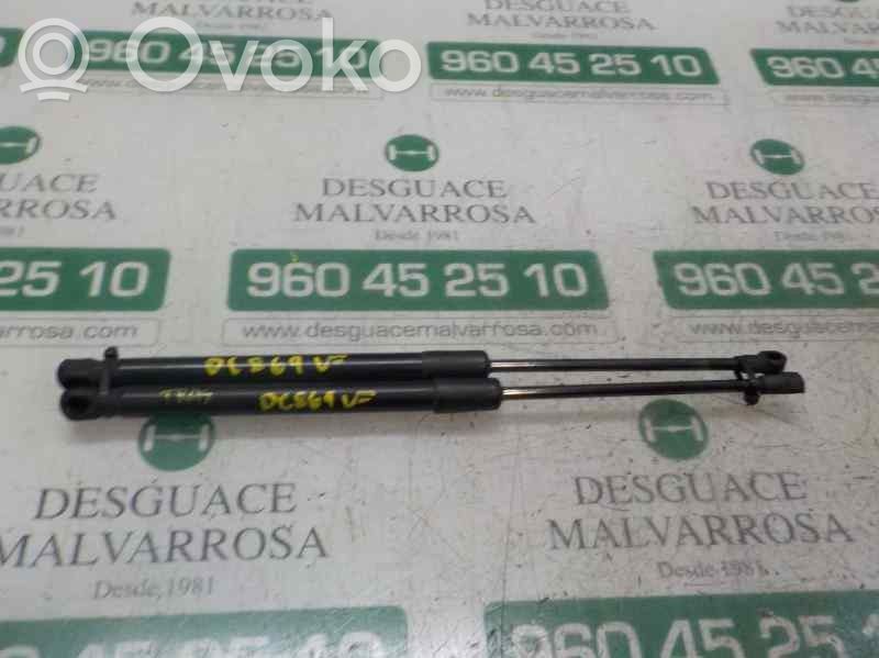 Amortizatorius galinio dangčio   51247060622