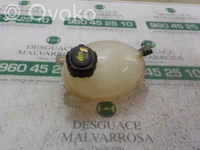 Dacia Sandero II Vaso di espansione carburante