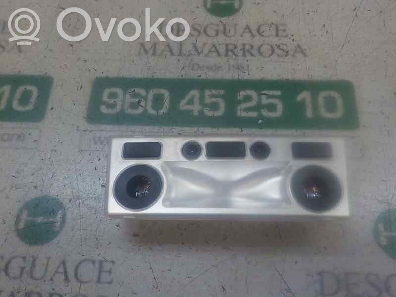 BMW 5 E60 E61 Consola de luz del techo 