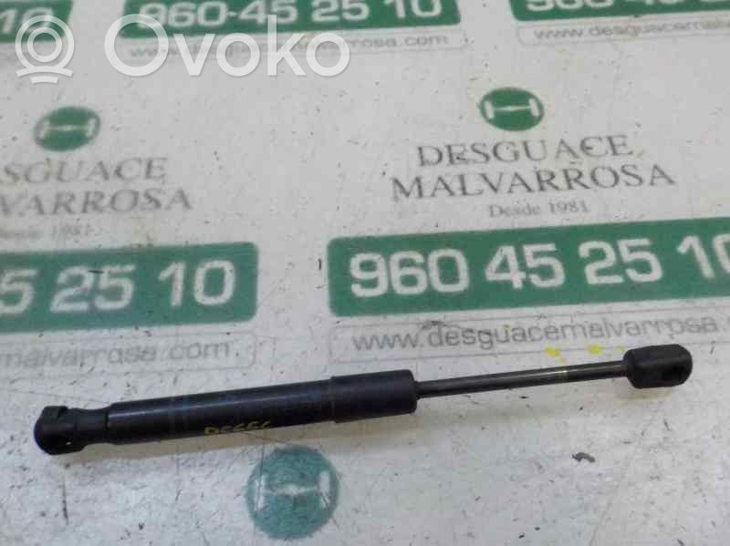 Konepellin kaasujousi   51237239233