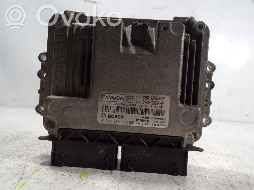 Engine control unit/module   2013029,C1B112A650FF,0261S09318