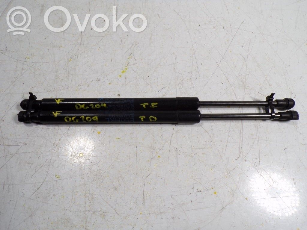 Tailgate/trunk strut/damper   51247250308