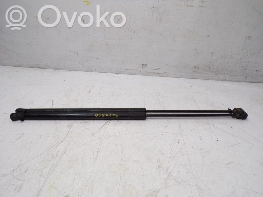 Tailgate/trunk strut/damper   13428064