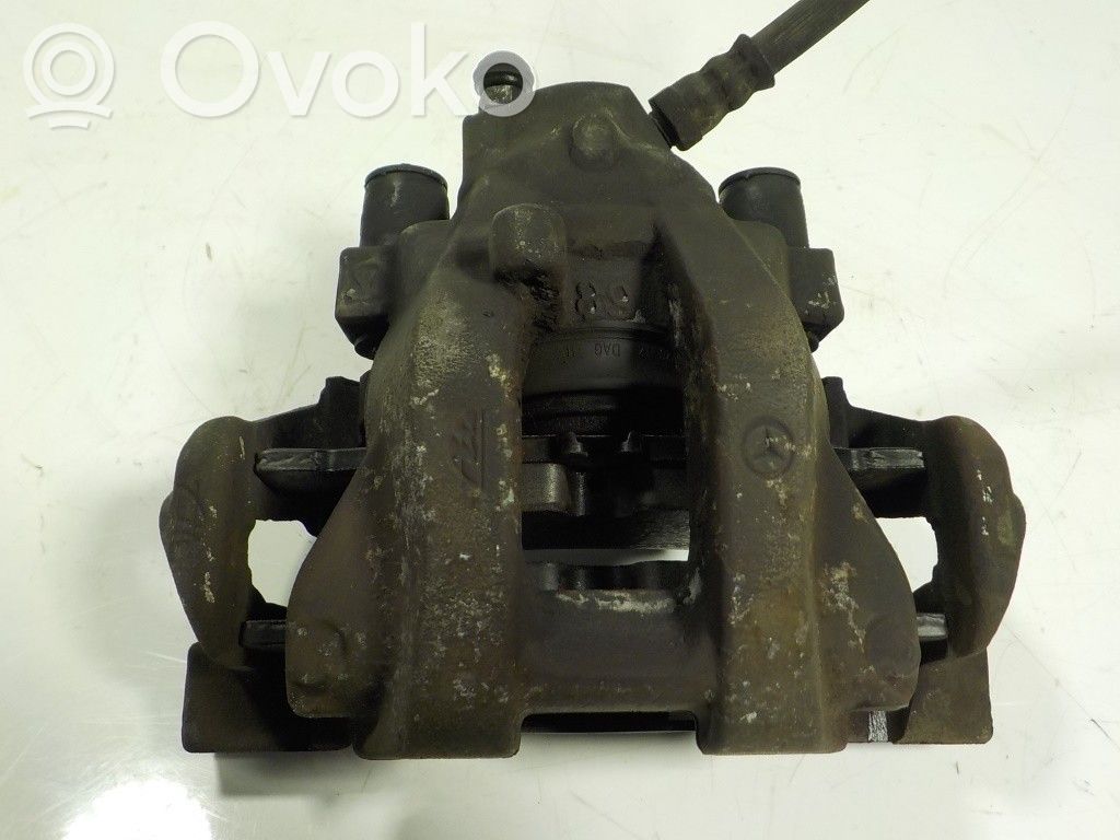 Takajarrusatula   A2124230081