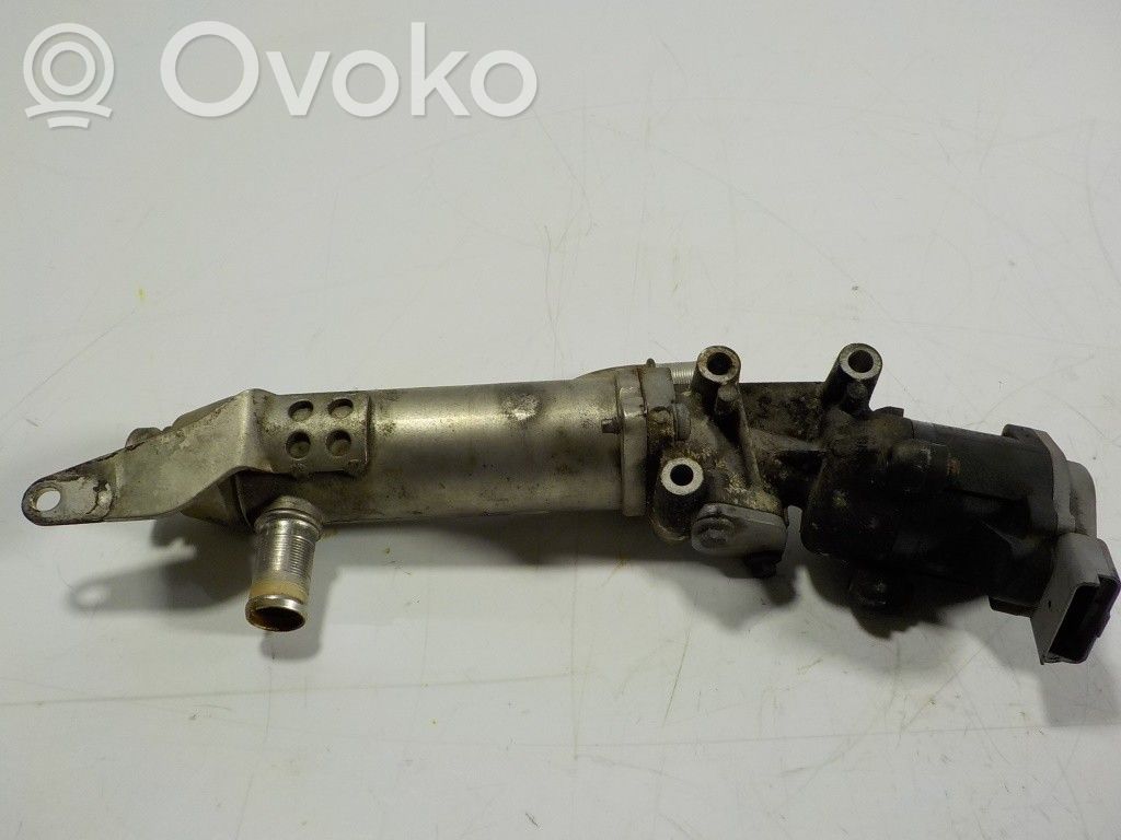 Land Rover Range Rover Sport L320 Zawór EGR 