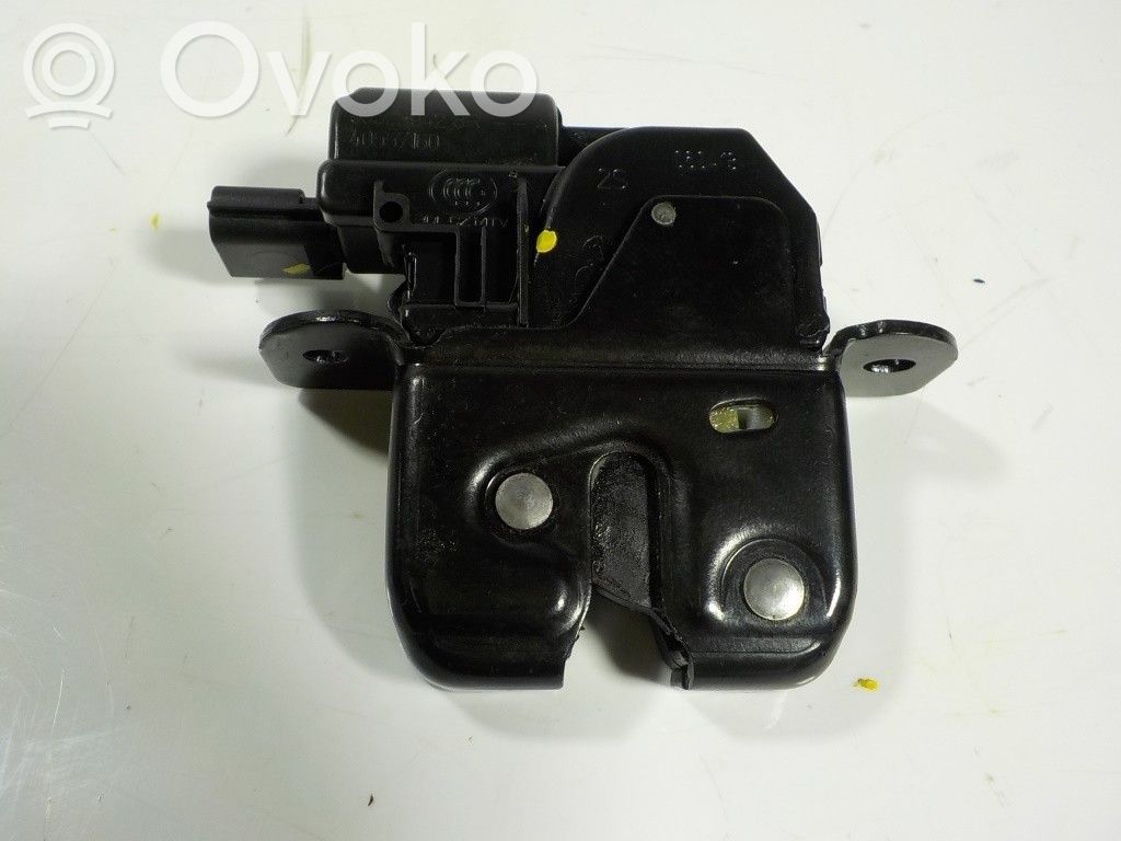 Tailgate lock latch   905039428R,905039428R