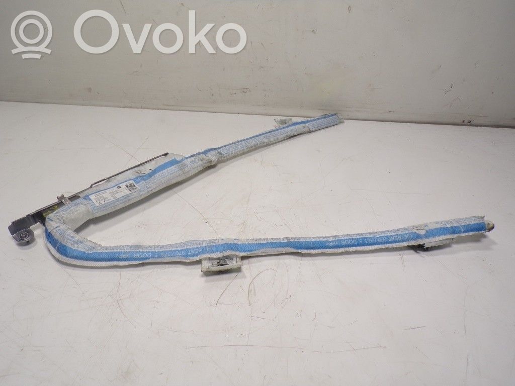Seat Leon (5F) Airbag portiera anteriore 