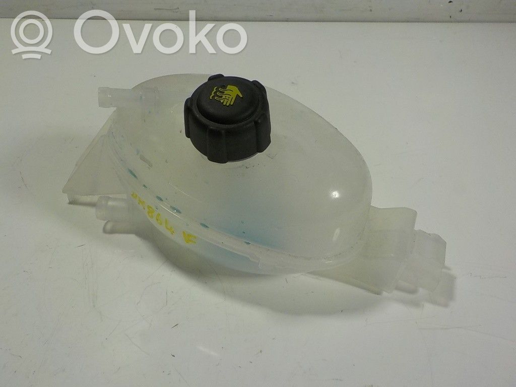Vase d'expansion de carburant   217100015R