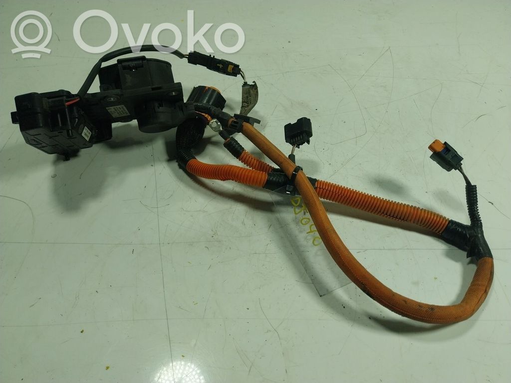 Other control units/modules   243916306R